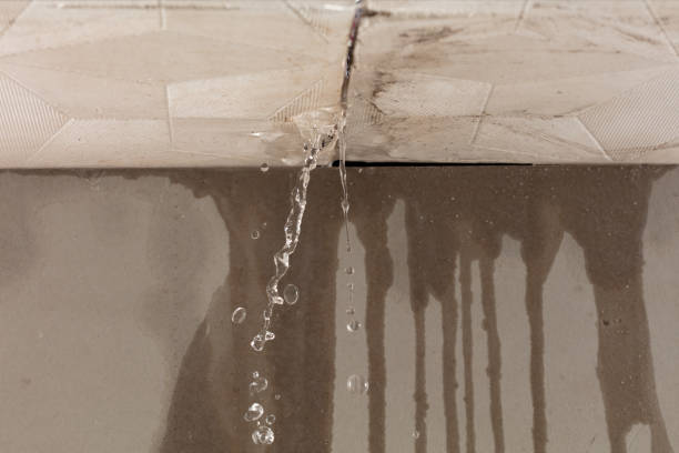 Professional Burst Pipe Cleanup technician working in Sumner, IL